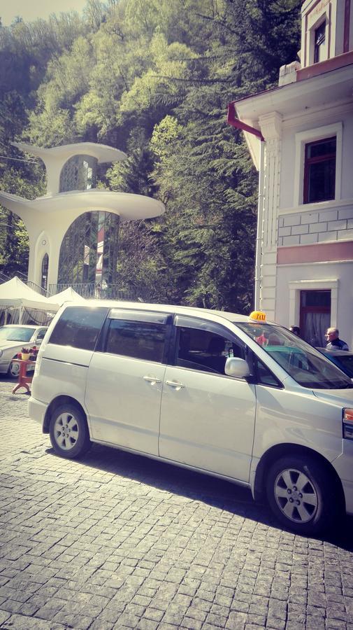 Apartament Giorgi بورجومي المظهر الخارجي الصورة